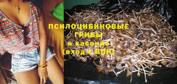 бутират Арсеньев