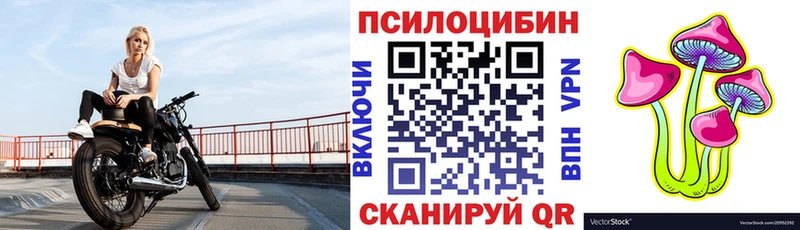 Галлюциногенные грибы Cubensis  Краснослободск 